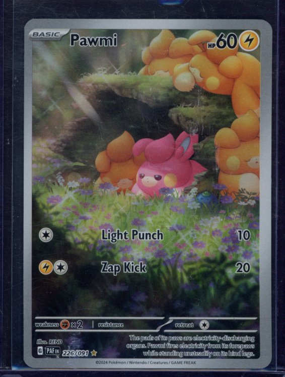 Pawmi 226/091 Raw