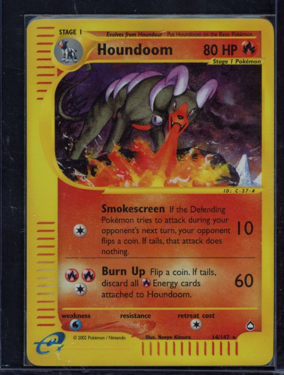 Houndoom 14/147 Raw