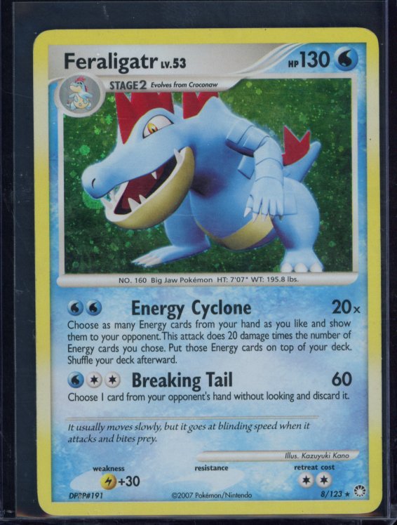 Feraligatr LV.53 8/132 Raw