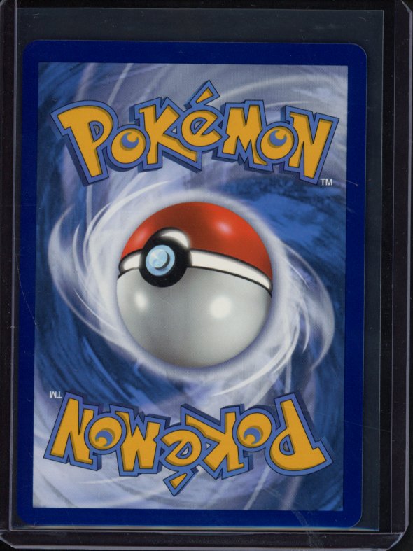 Zeraora V 165/198 Raw