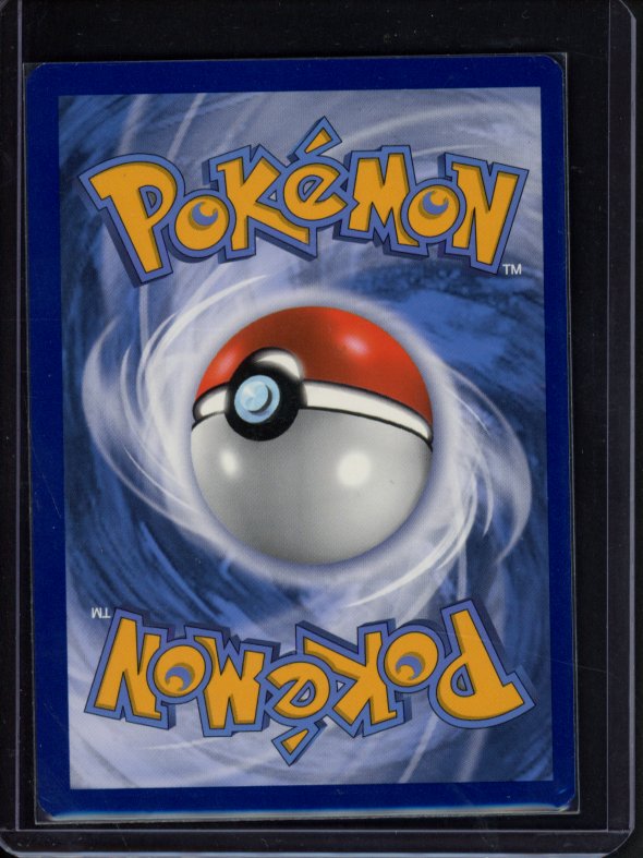 Garbodor Vmax 216/203 Raw