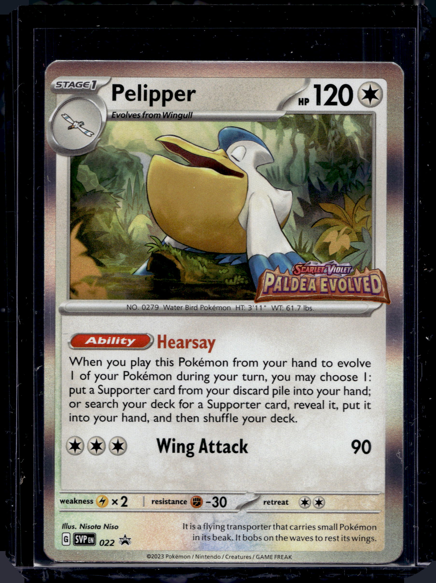 Pelipper (Prerelease) 022 Raw