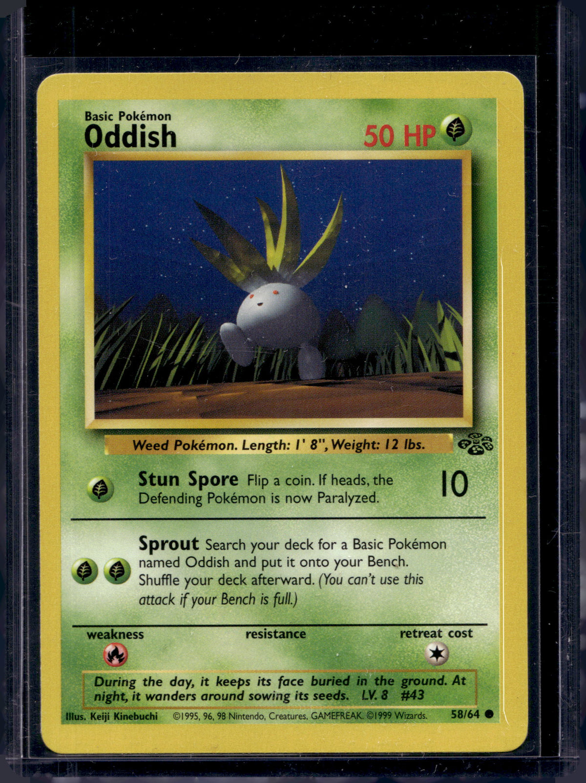 Oddish (Jungle - Unlimited) 58/64 Raw