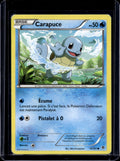 Carapuce (French) 14/101 Raw