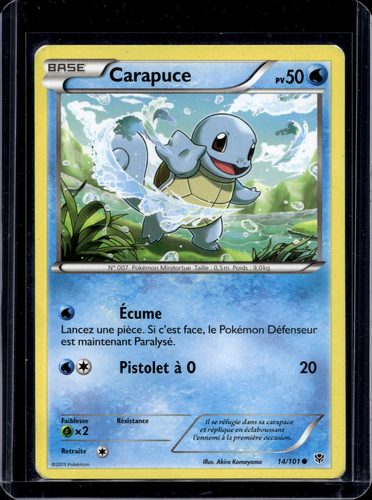 Carapuce (French) 14/101 Raw