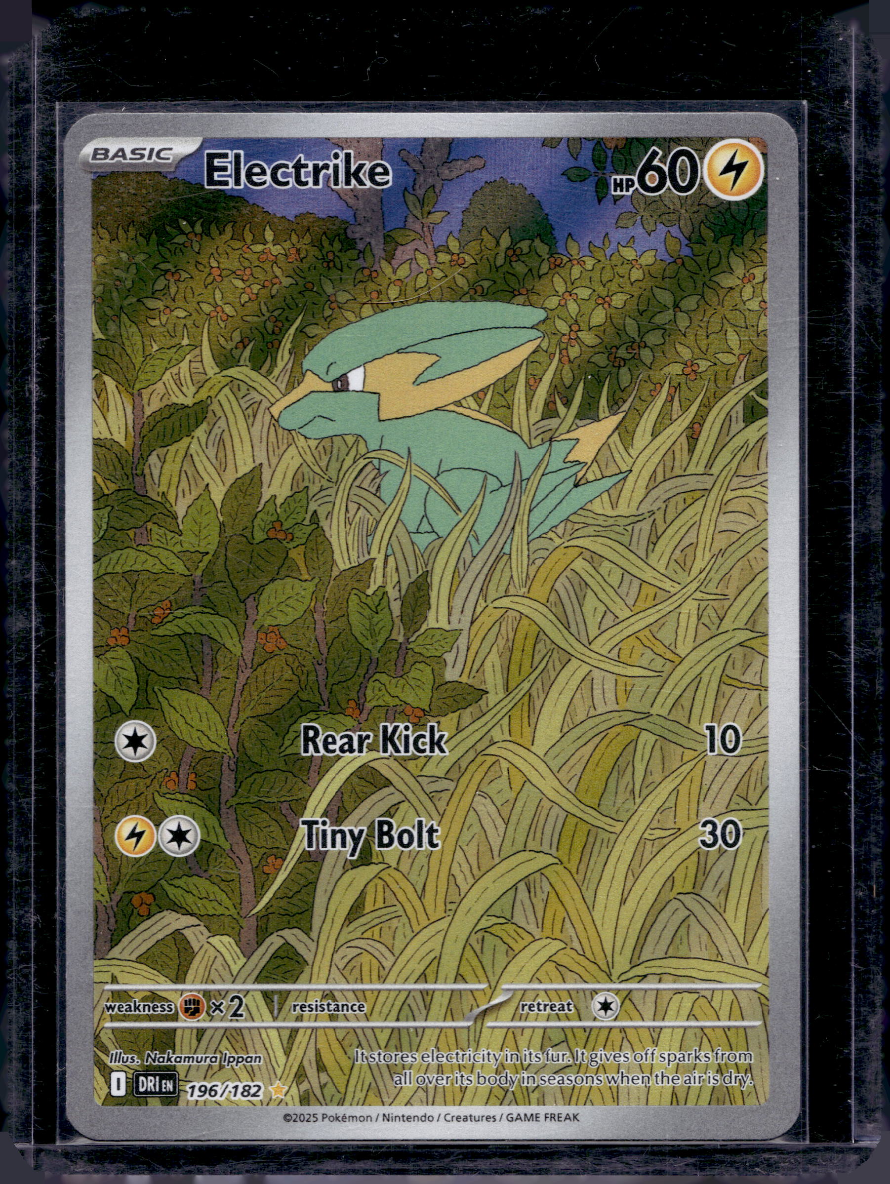 Electrike 196/182 Raw RookieLegends