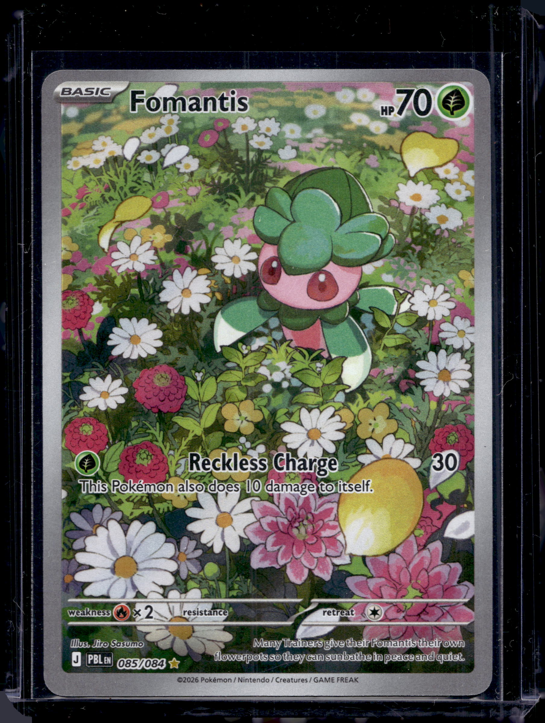 Fomantis 085/084 Raw