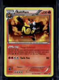 Roitiflam (French) - Holofoil - BW21 Raw