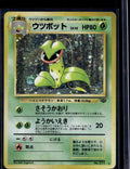 Victreebel (Jungle - Japanese - Holofoil) No.071 Raw