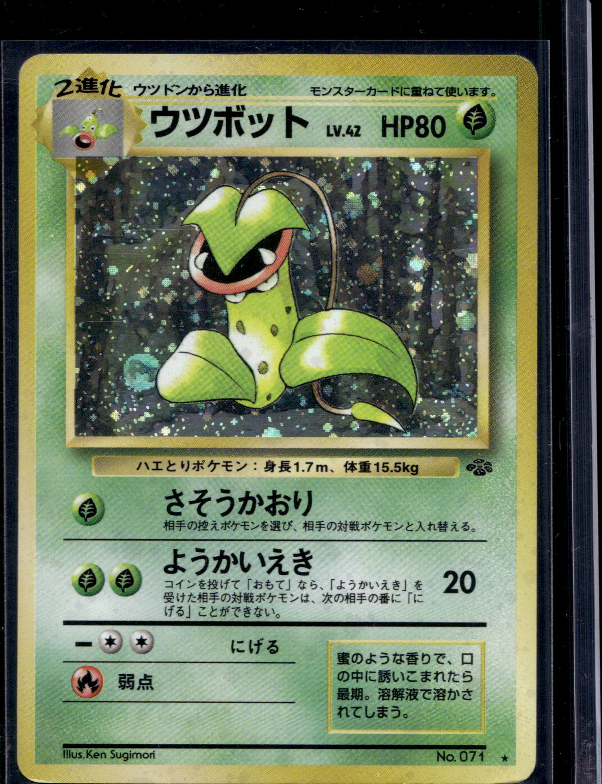 Victreebel (Jungle - Japanese - Holofoil) No.071 Raw
