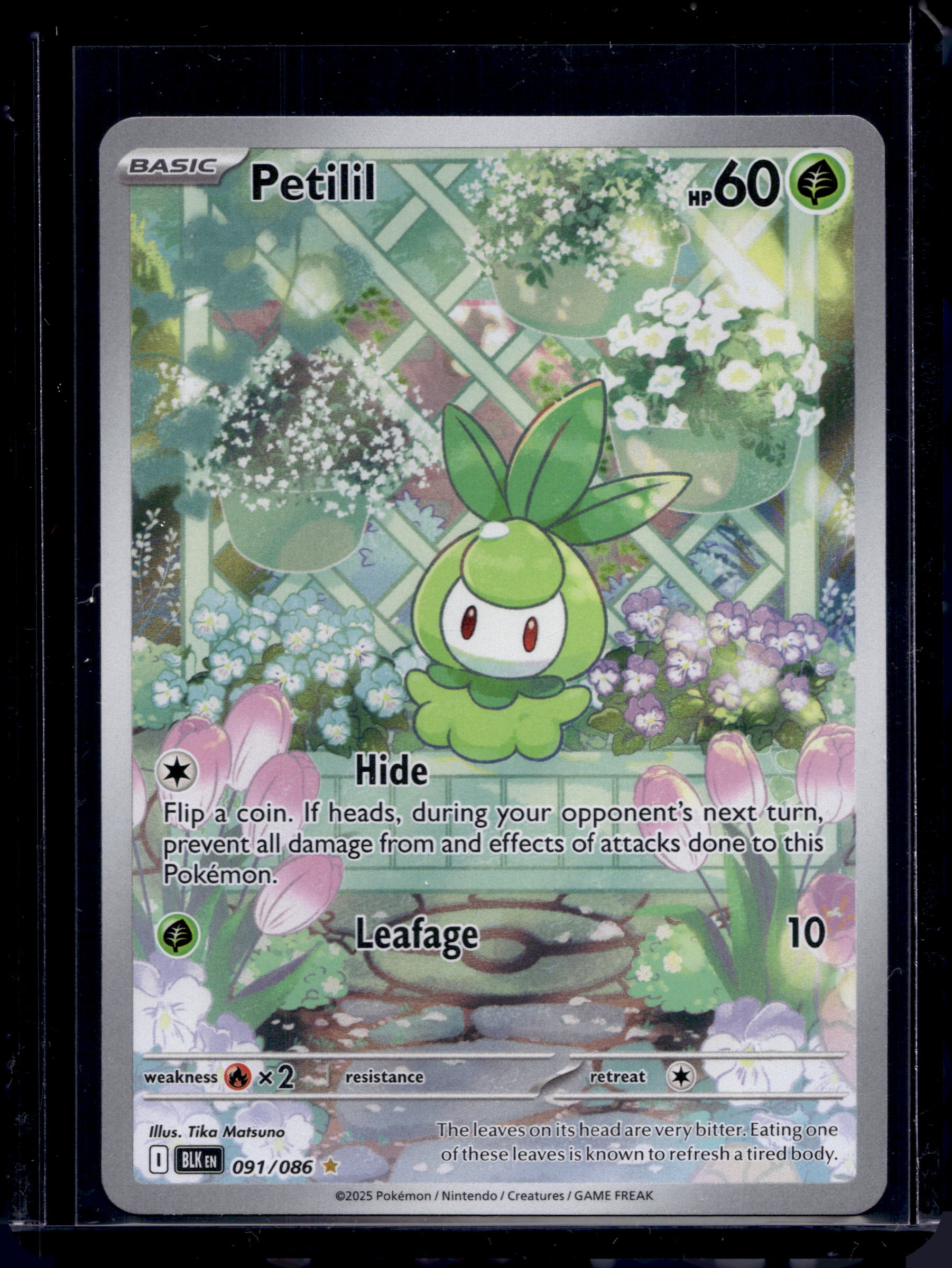 Petilil 091/086 Raw RookieLegends