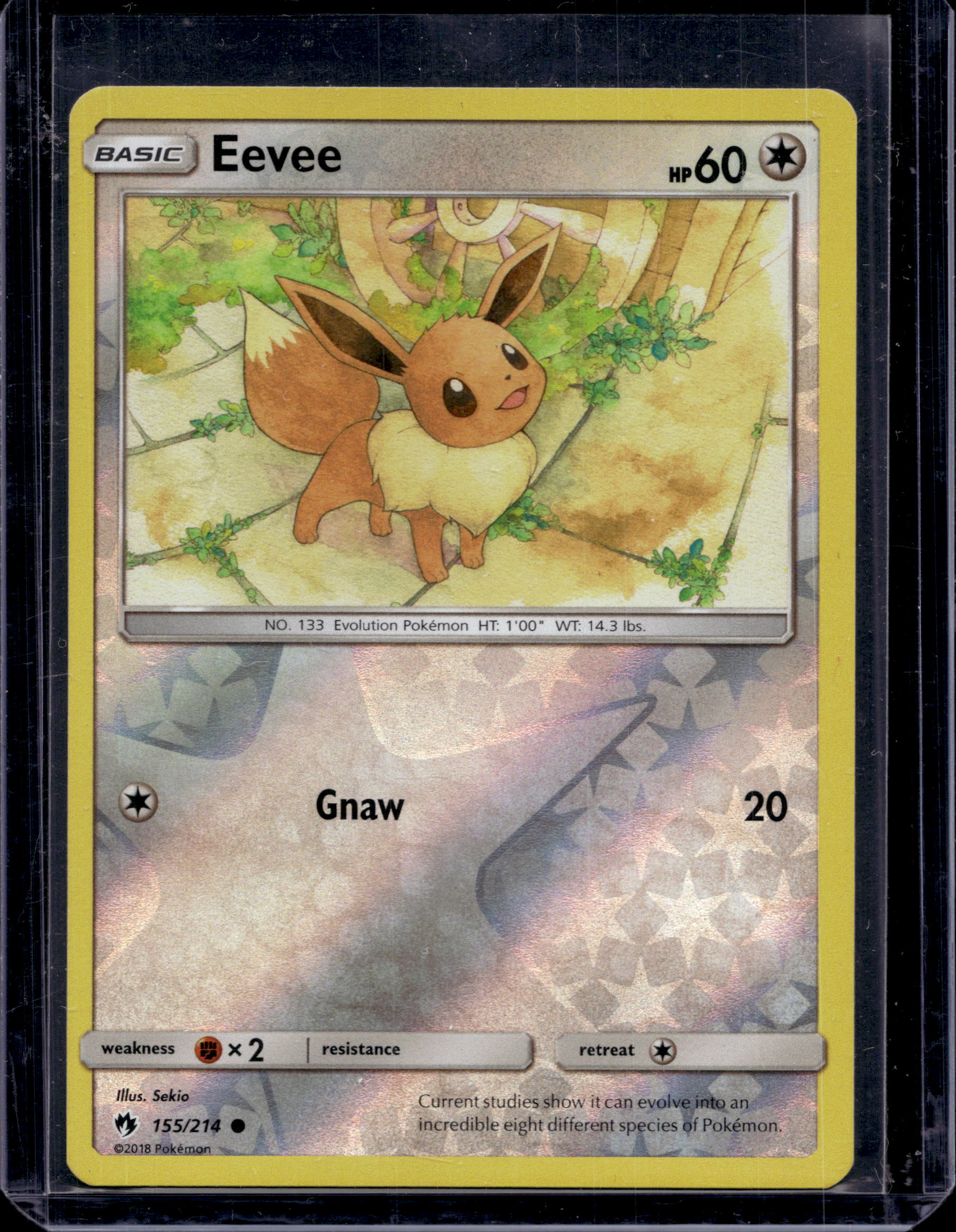 Eevee 51 Reverse Holofoil Raw RookieLegends