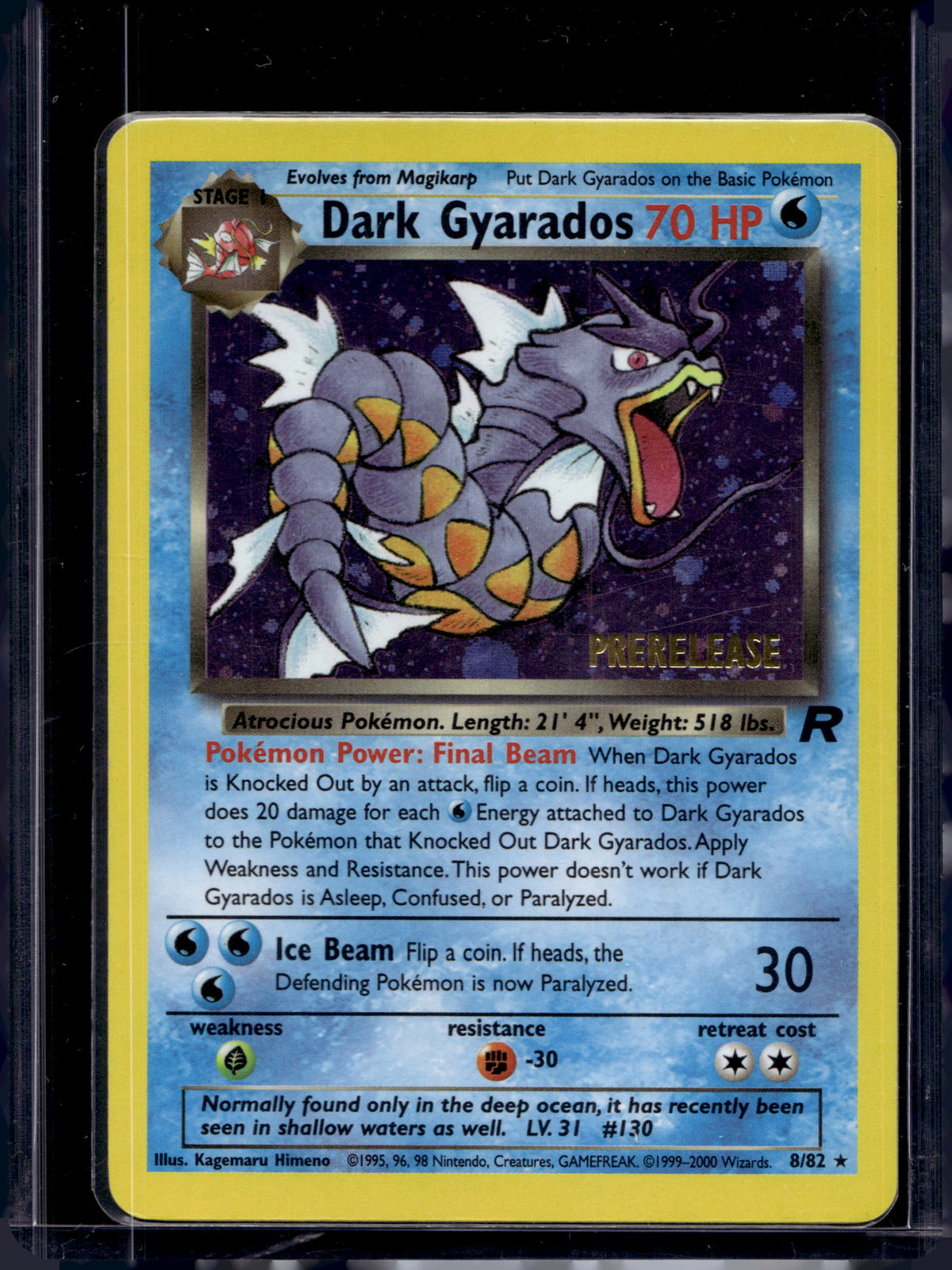 Dark Gyarados (WoTC Promo) 8/82 Raw