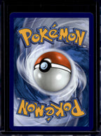 Mega Zygarde ex 047/088 Raw RookieLegends