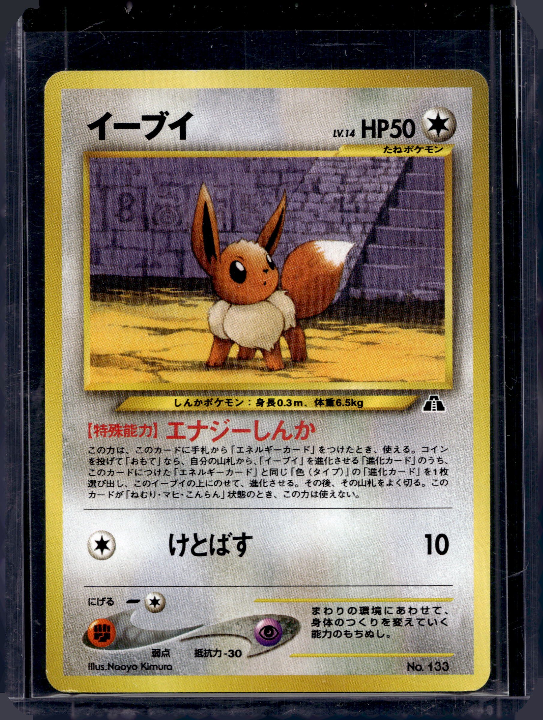 Eevee Neo Premium File 2 (JP) 133 Raw - RookieLegends