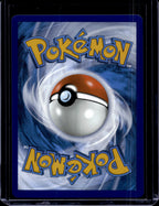 Pikachu Ex 247/191 Raw RookieLegends