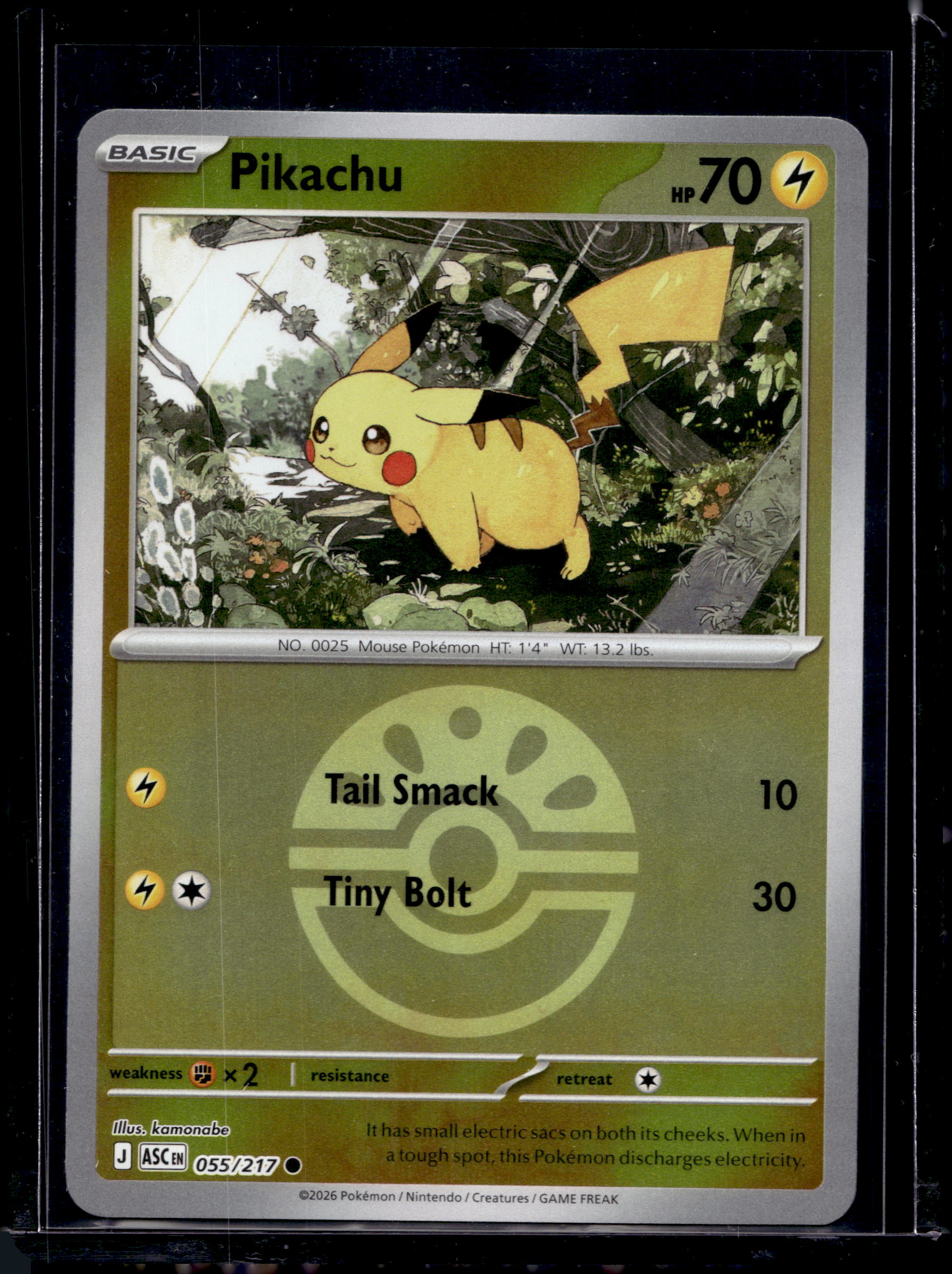 Pikachu (Friend Ball) 055/217 Raw RookieLegends
