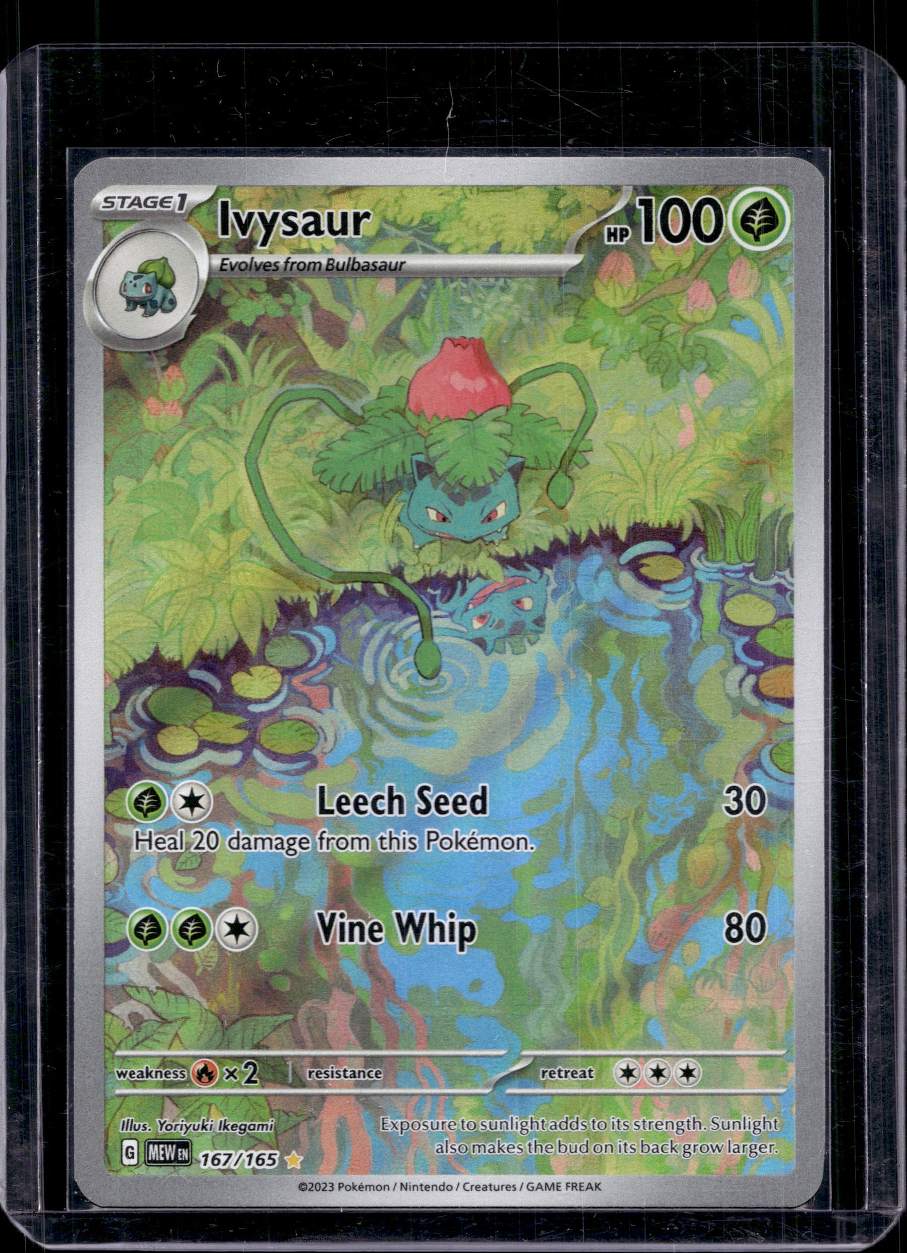 Ivysaur 167/165 Raw RookieLegends
