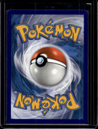 Charizard Vmax 020/189 Raw RookieLegends