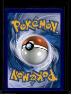Magikarp & Wailord Gx 161/181 Raw