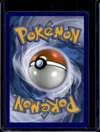M Blastoise EX - Holofoil - 22/108 Raw