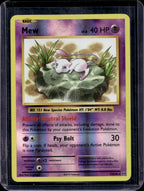 Mew 53/108 Raw RookieLegends