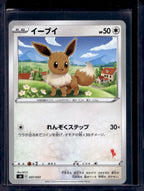 Eevee 037/053 Raw - RookieLegends