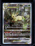 Leafeon VSTAR (JP) 210/172 Raw
