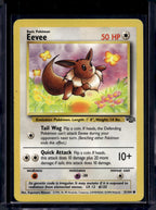 Eevee (Jungle - Unlimited) 51/64 Raw