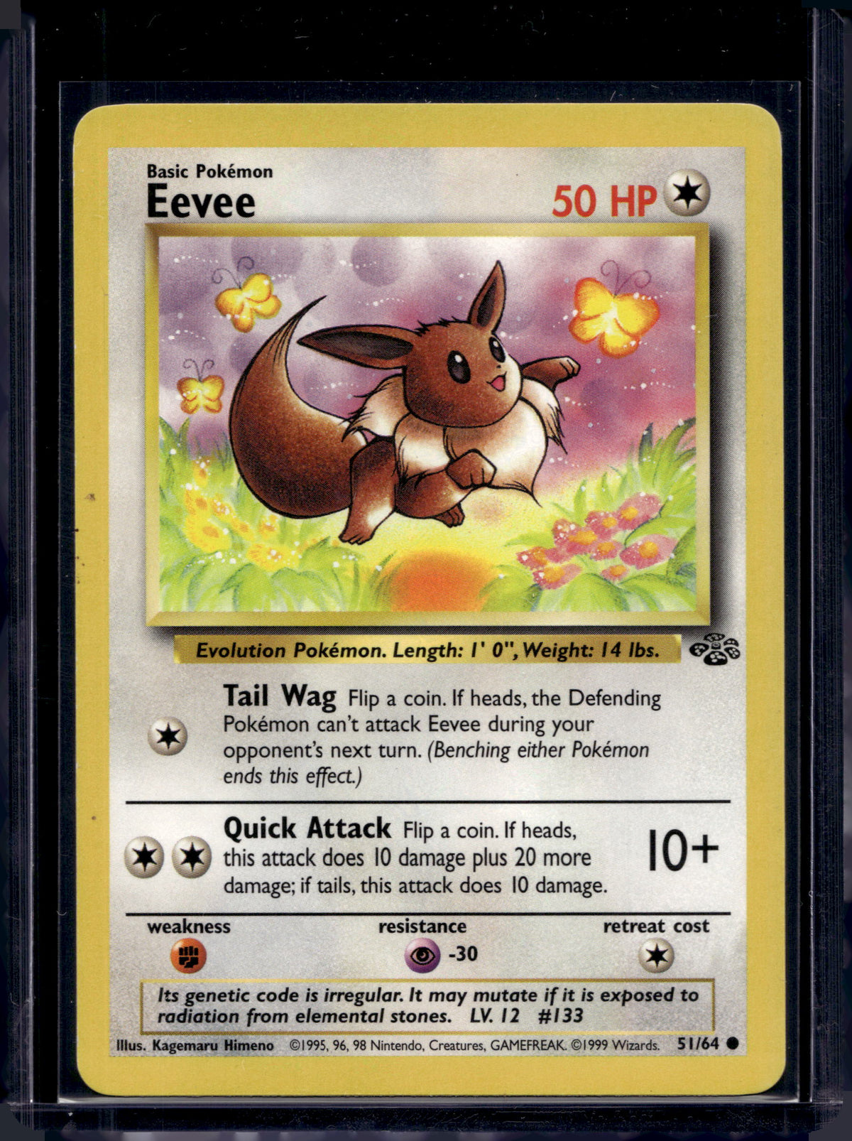 Eevee (Jungle - Unlimited) 51/64 Raw
