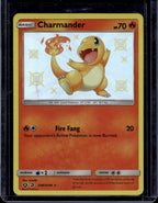Charmander SV6/SV94 Raw