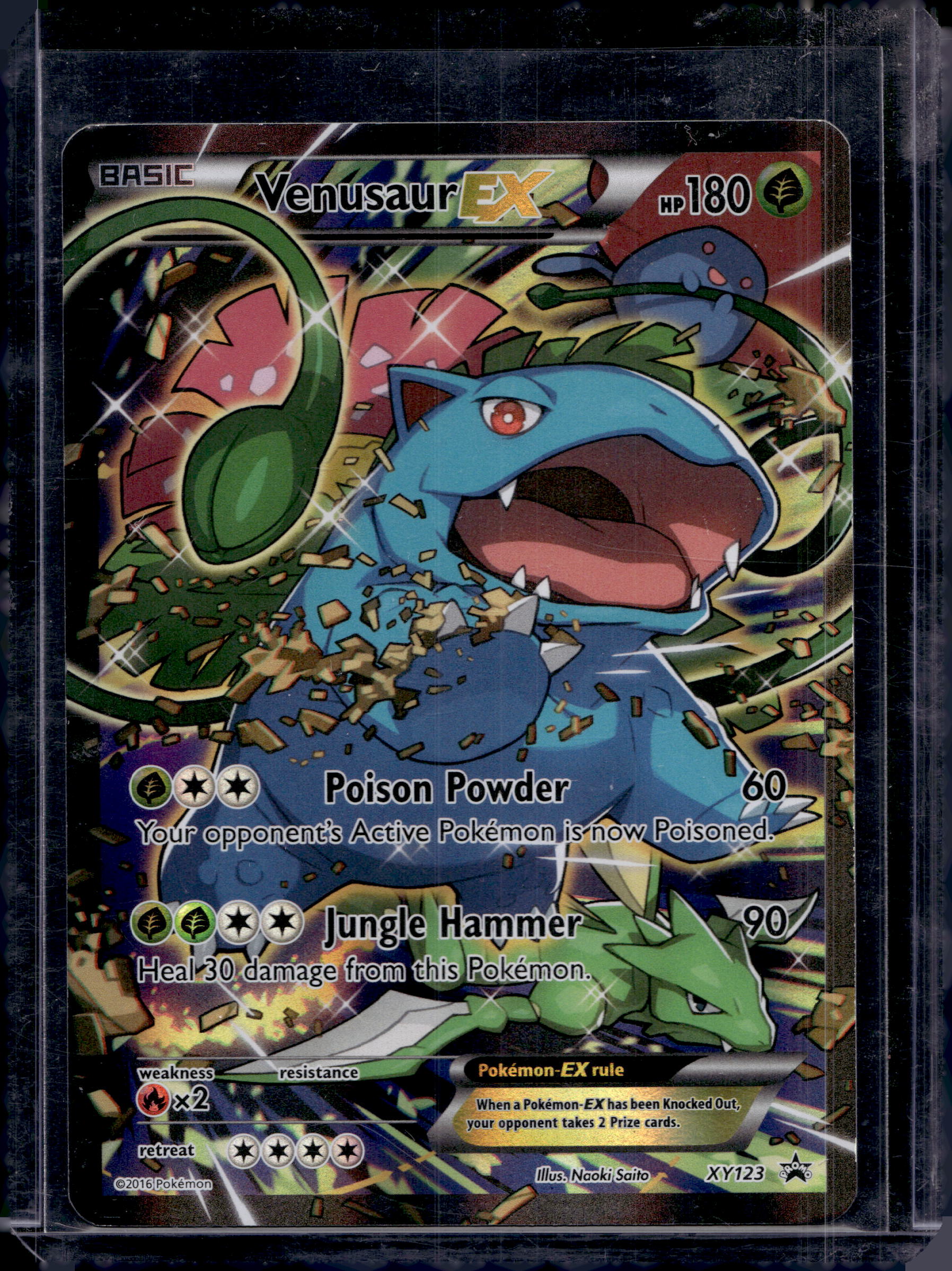 Venusaur Ex XY123 Raw