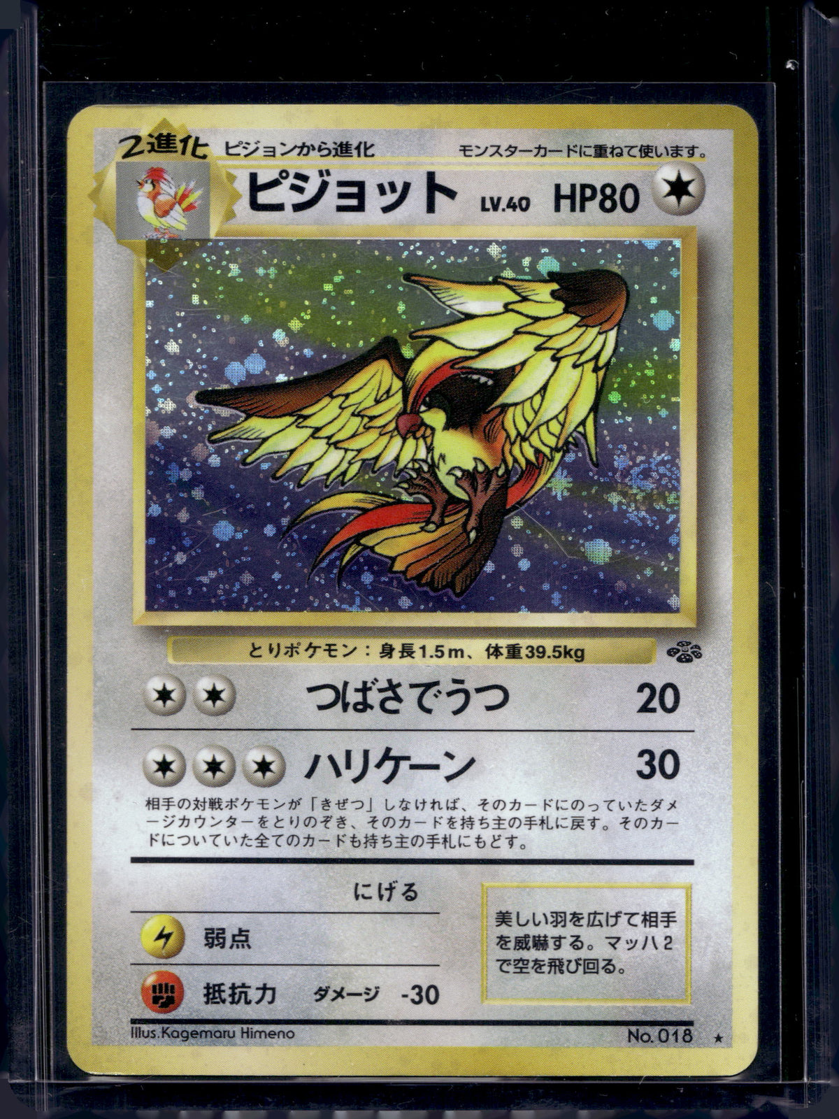 Pidgeot (Jungle - Japanese - Holofoil) No.018 Raw