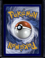 Charmander 168/165 Raw RookieLegends
