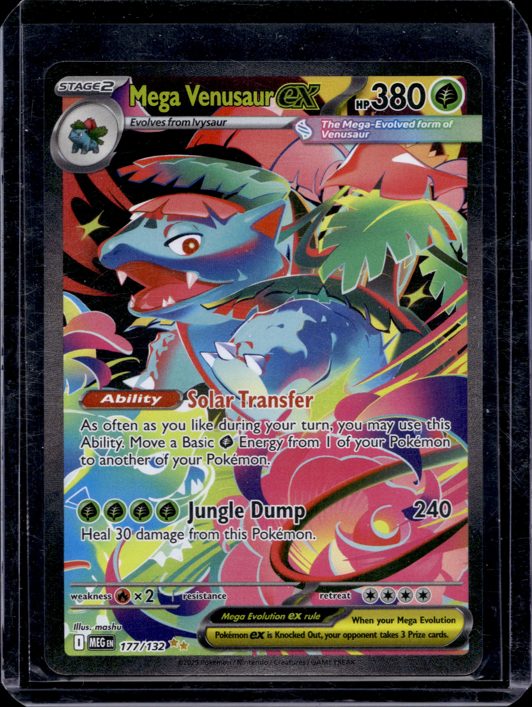 Mega Venusaur Ex 117/132 Raw RookieLegends