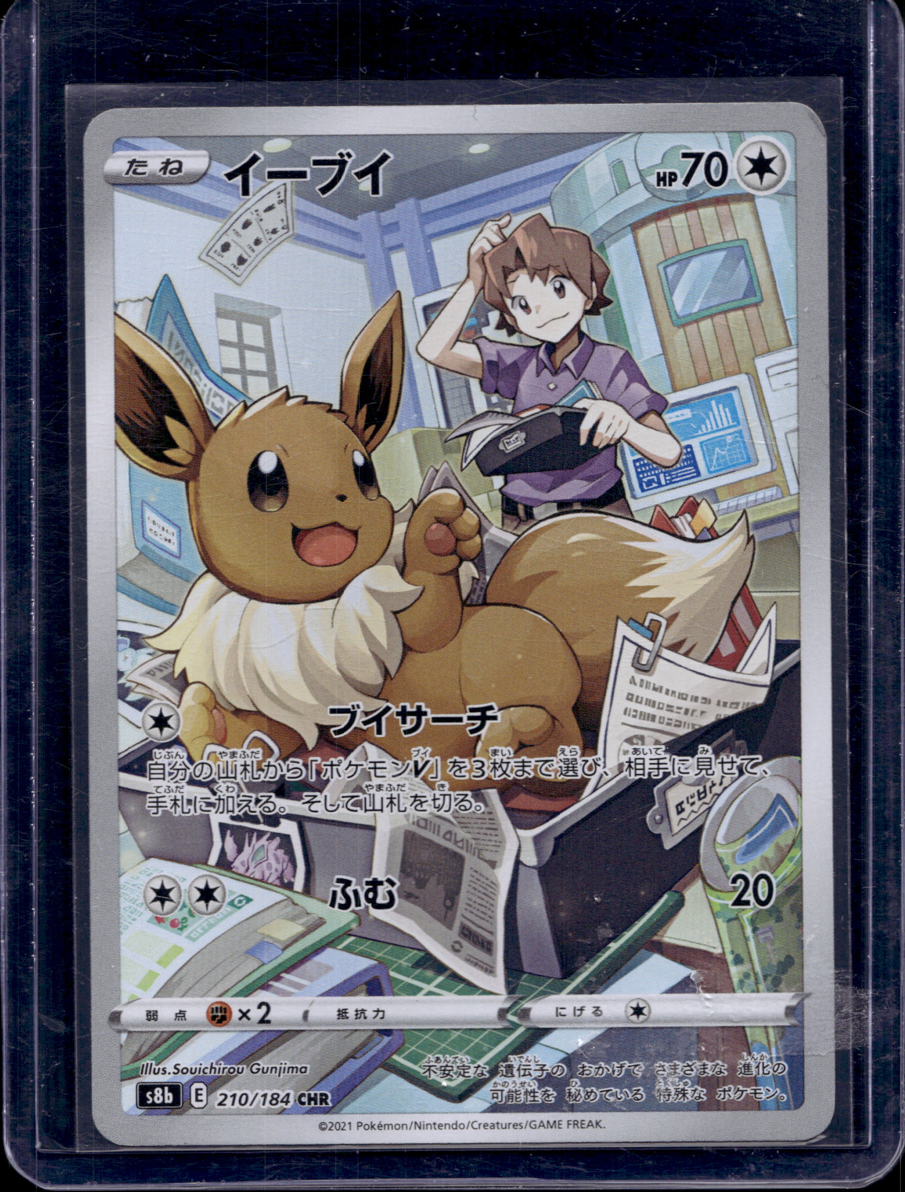 Eevee (JP) 210/184 Raw