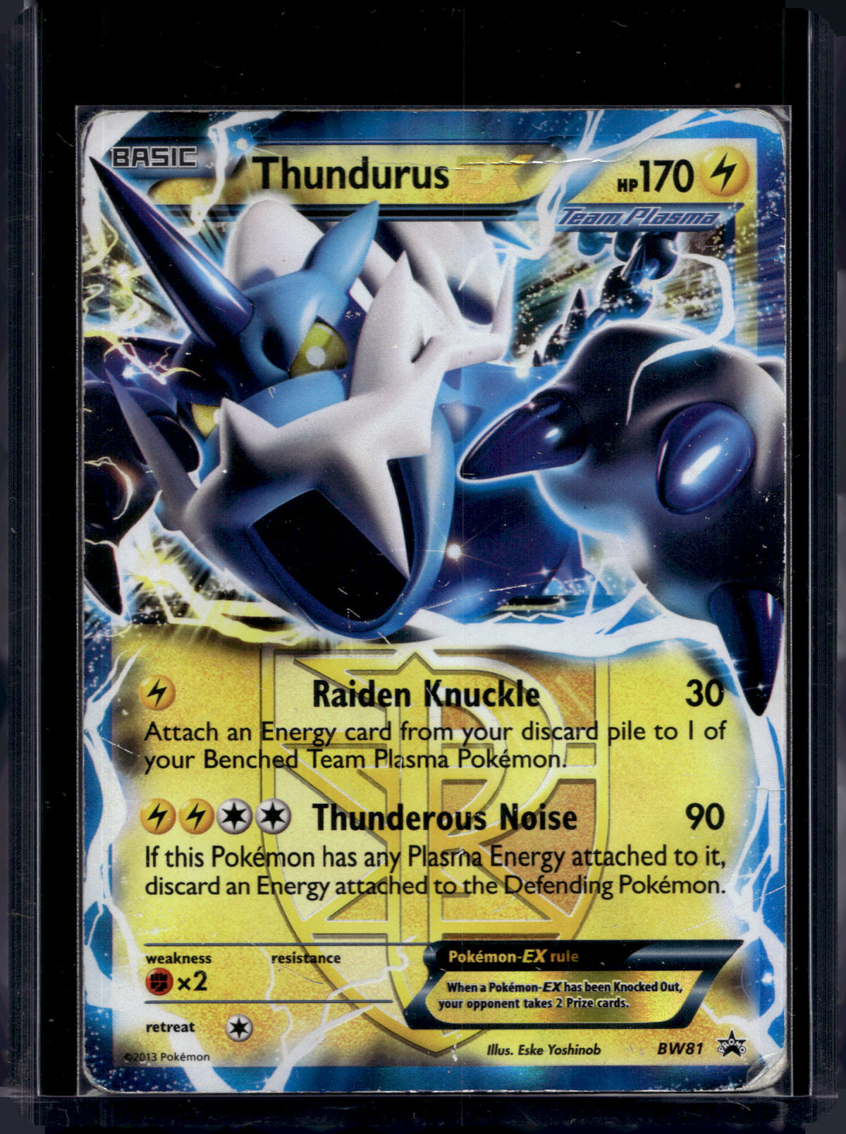 Thundurus EX (Team Plasma) - Holofoil - BW81 Raw