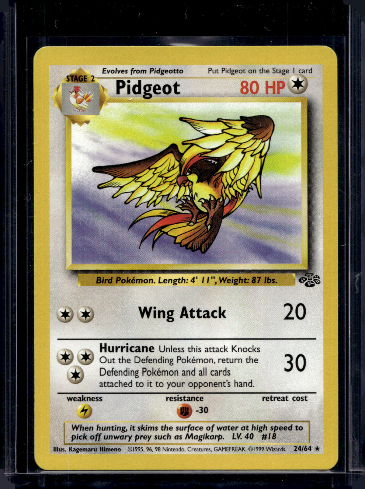 Pidgeot (Jungle - Unlimited) 24/64 Raw