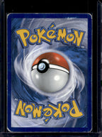 Thundurus EX (Team Plasma) - Holofoil - BW81 Raw