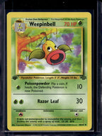 Weepinbell (Jungle - 1st Edition Common) 48/64 Raw