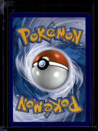 Reshiram & Charizard GX Sm247 Raw