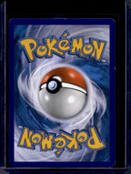 Gardevoir EX 116/114 Raw RookieLegends