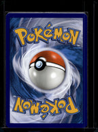 Charizard GX SM211 Raw RookieLegends