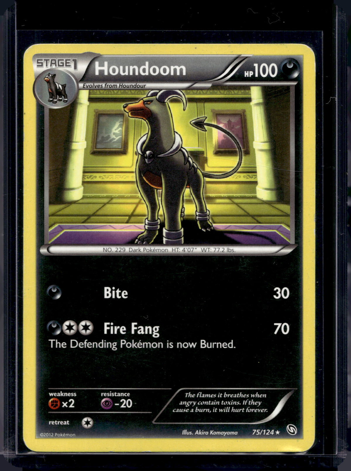 Houndoom 75/124 Raw