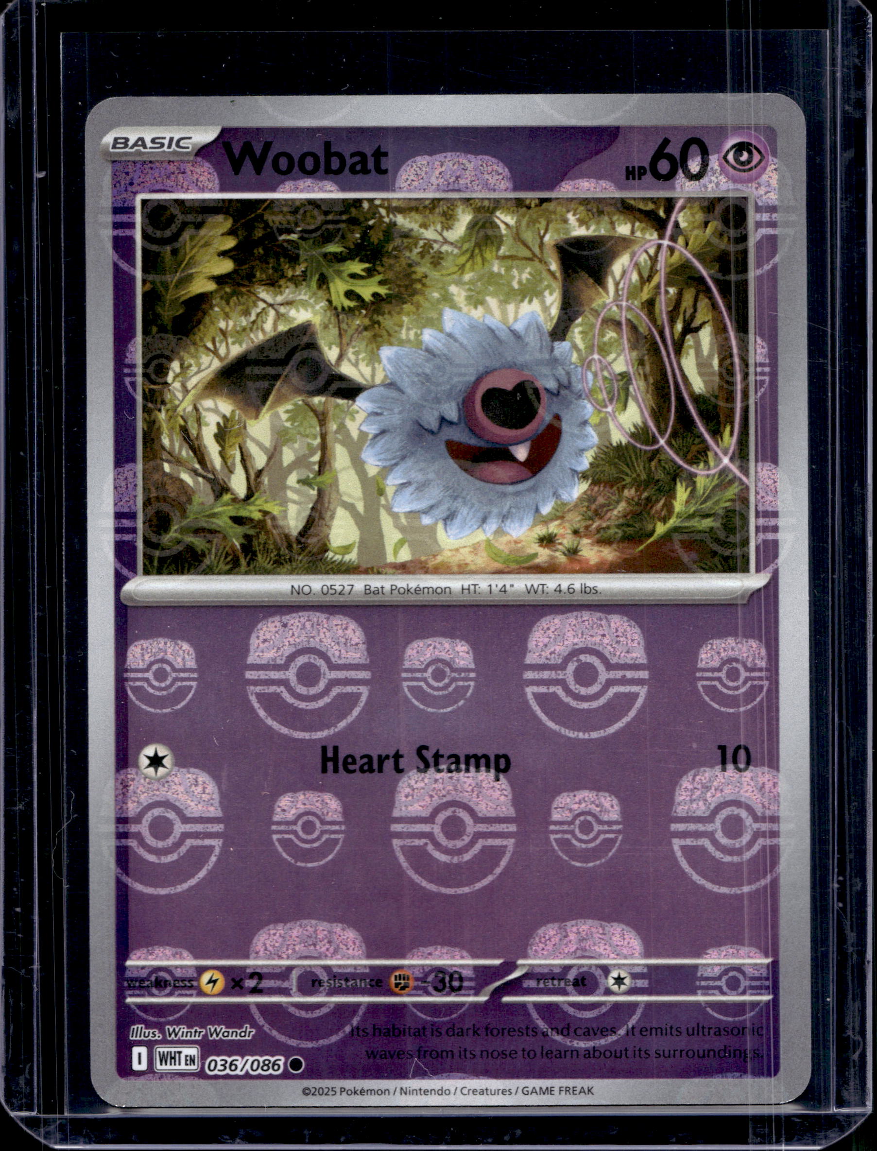 Woobat (Master Ball Pattern) 036/086 Raw