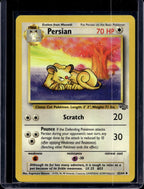 Persian (Jungle - Unlimited) 42/64 Raw