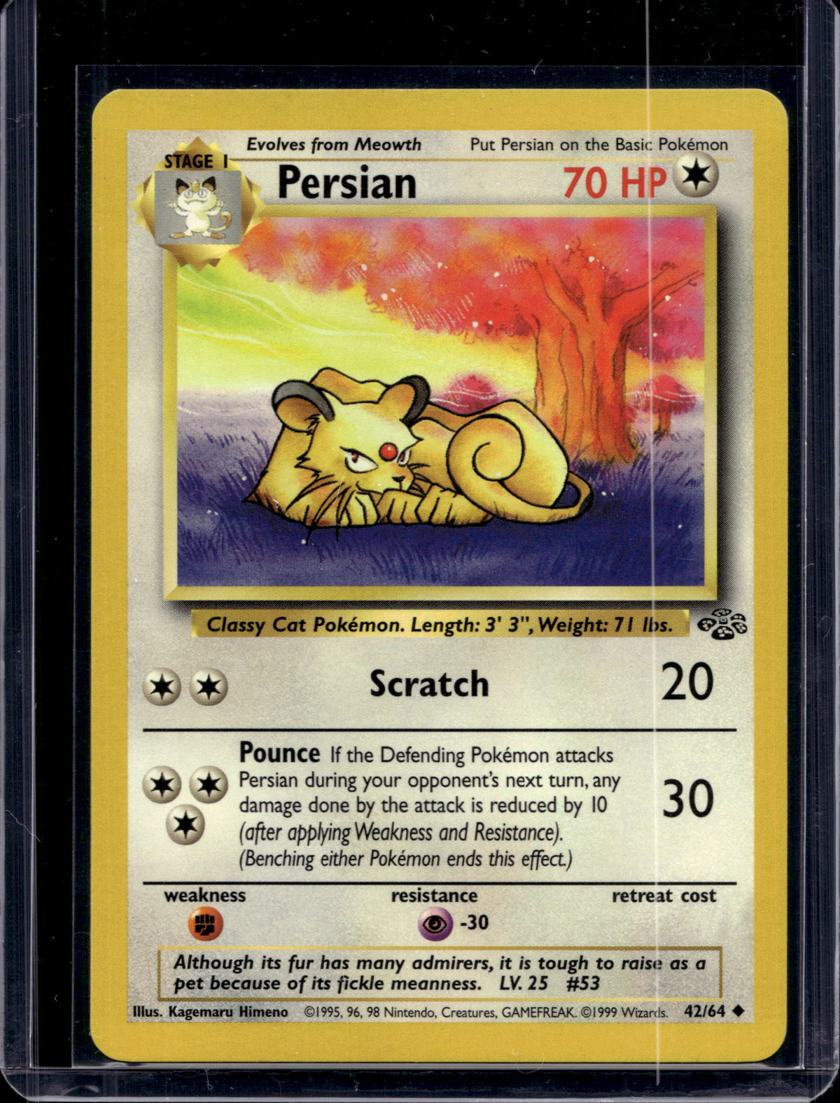 Persian (Jungle - Unlimited) 42/64 Raw