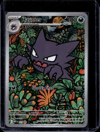 Haunter 027 Raw RookieLegends