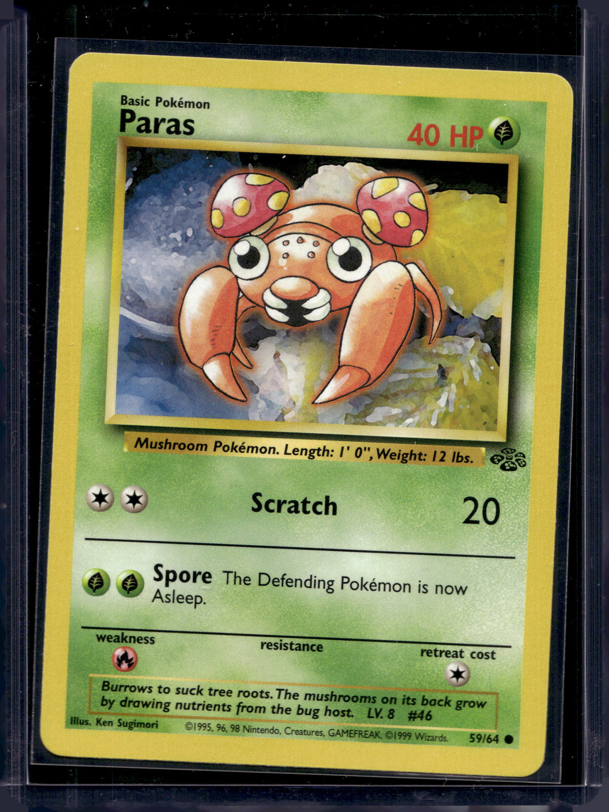 Paras (Jungle - Unlimited) 59/64 Raw