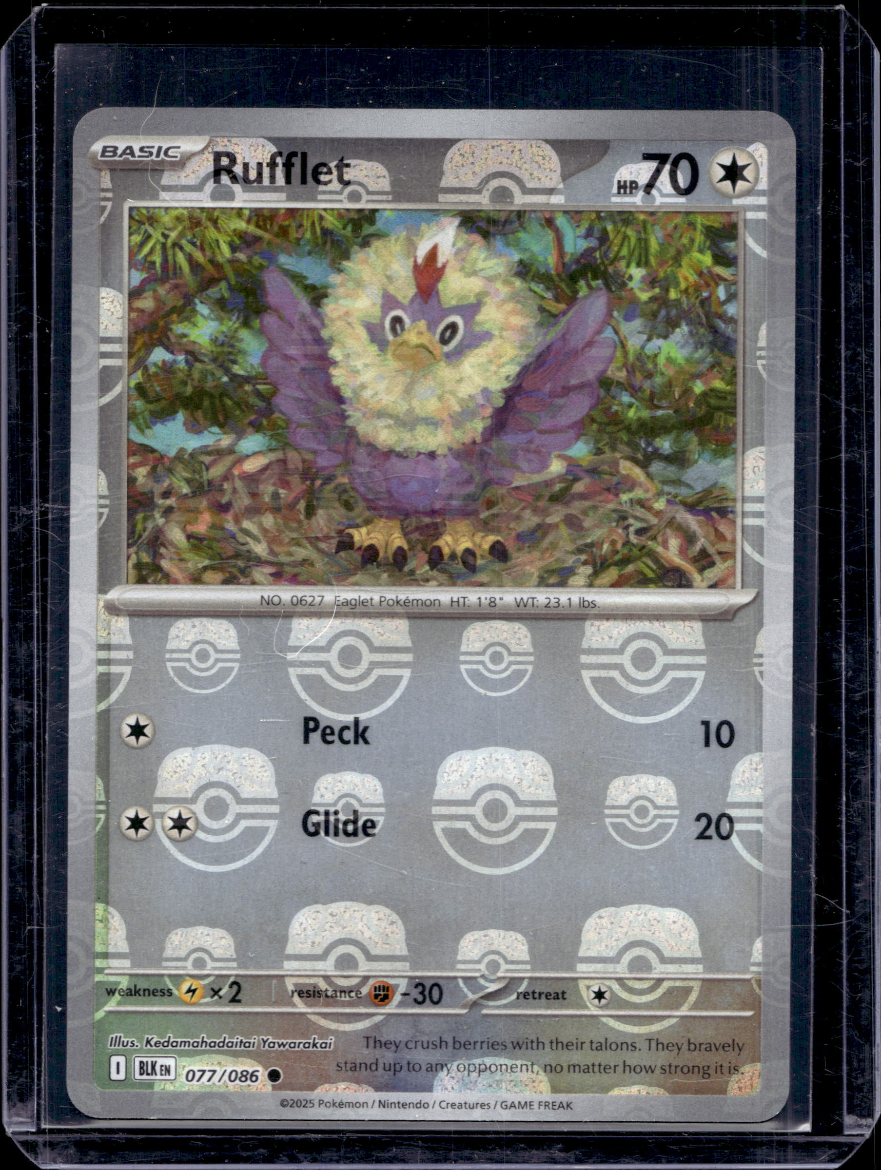 Rufflet (Master Ball Pattern) 077/086 Raw